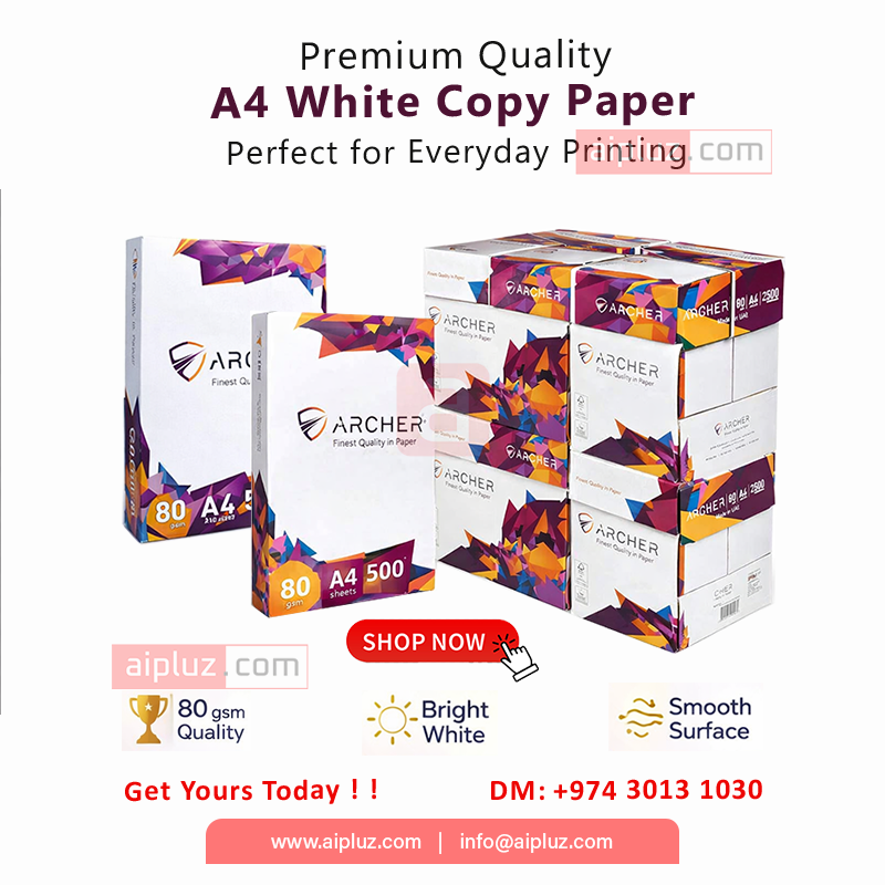 Papers / Ploter Paper – AiPluz